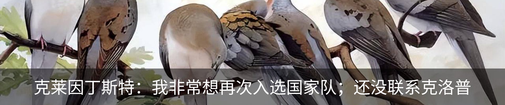 资讯动态